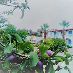 Paradisso 3* Βρομόλιθος